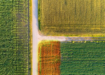 Seminário de apresentação de oportunidades para o Agronegócio – EXPORTAGRO - BA