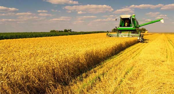 APEX-BRASIL TRABALHA PARA ATRAIR INVESTIMENTOS EM AGRO