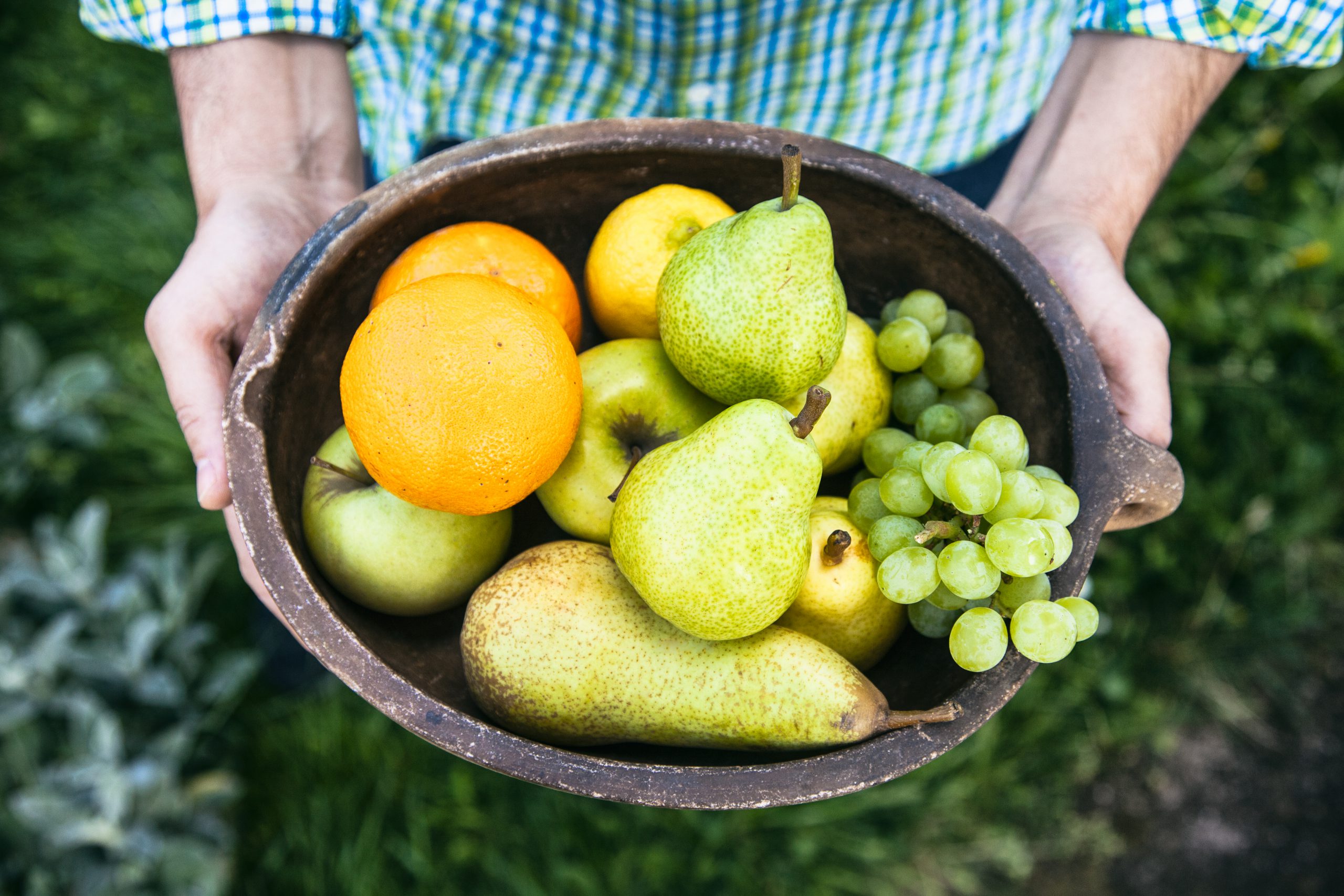 Webinar sobre oportunidades para frutas no Reino Unido